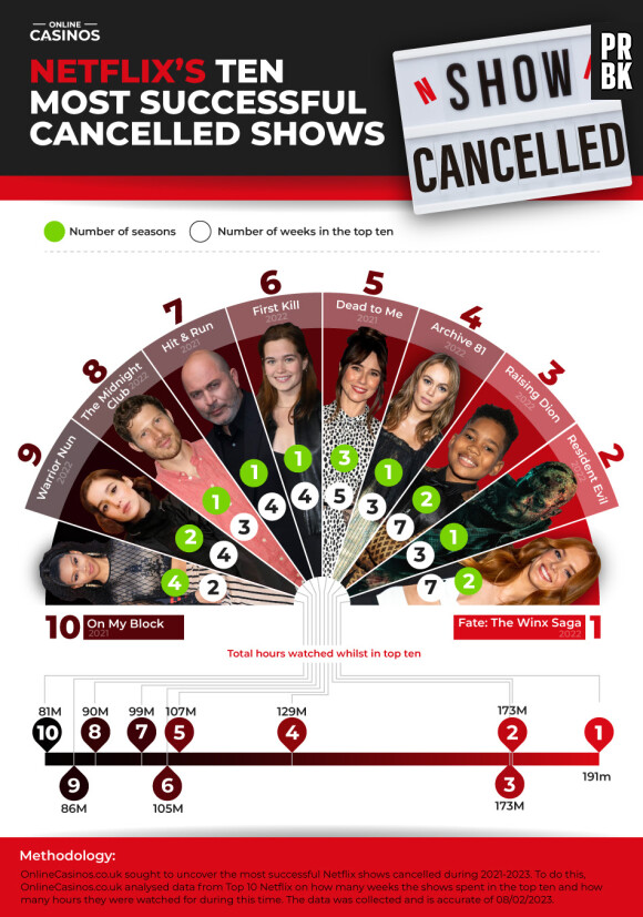 Les séries annulées pour de mauvaises raisons par Netflix ? L'analyse qui fait grincer les dents des abonnés
