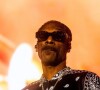 Il déclarait alors qu'il arrêtait de fumer.
Snoop Dogg en concert à Birmingham, le 28 mars 2023.