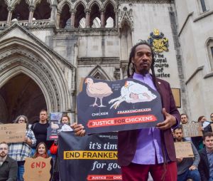 Writer and poet BENJAMIN ZEPHANIAH joins the protesters outside the Royal Courts Of Justice as animal charity The Humane League UK takes legal action against the government over 'Frankenchickens', chickens which are bred to grow at abnormal rates to abnormal size, which campaigners say causes great suffering and breaches the Welfare of Farmed Animals regulations. © Vuk Valcic/ZUMA Press/Bestimage 