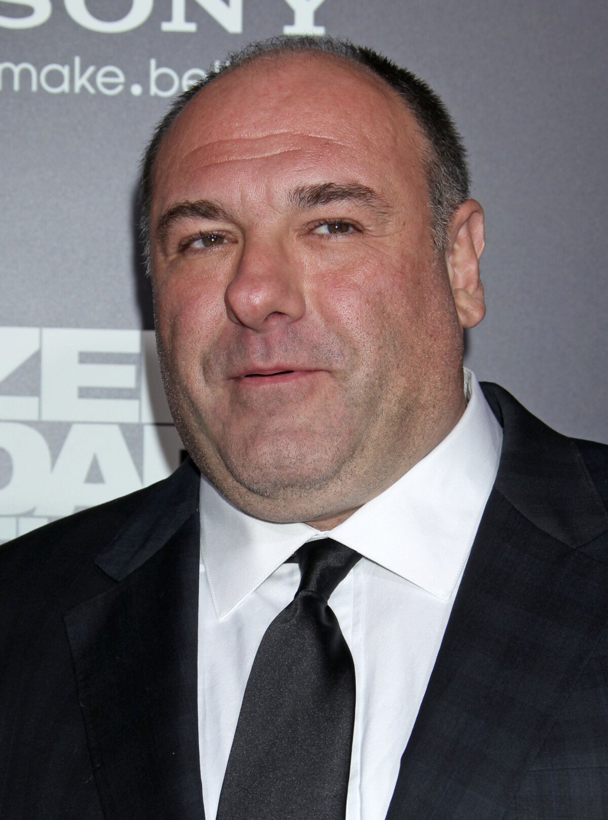 Photo James Gandolfini Premiere du film "Zero Dark Thirty" a
