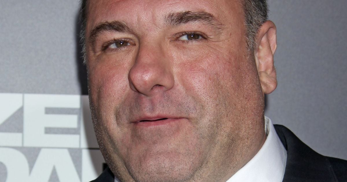 James Gandolfini Premiere du film Zero Dark Thirty a Hollywood, le 10