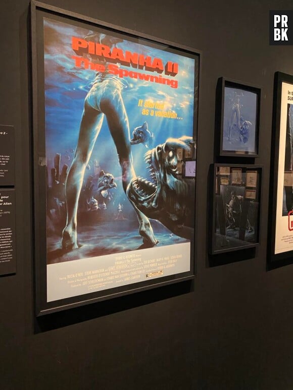 J'ai visité l'exposition "L'art de James Cameron" à la Cinémathèque Française de Paris. Ici, l'affiche du film "Piranha II".