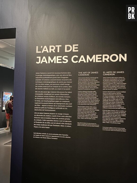 J'ai visité l'exposition "L'art de James Cameron" à Paris.