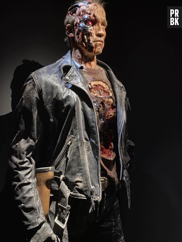 J'ai visité l'exposition "L'art de James Cameron" à la Cinémathèque Française de Paris. Objet appartenant au film "Terminator".