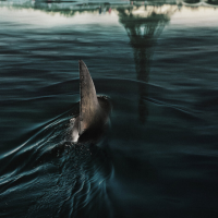 J'ai pu voir Sous la Seine (Netflix), le premier film de requin parisien de l'histoire (et j'ai même rencontré sa star sur une péniche !)