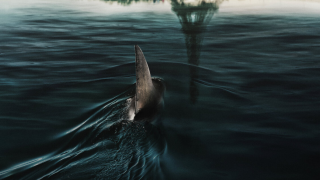 J'ai pu voir Sous la Seine (Netflix), le premier film de requin parisien de l'histoire (et j'ai même rencontré sa star sur une péniche !)