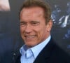 Arnold Schwarzenegger - Avant-première du film "Expendables 3" à Hollywood.