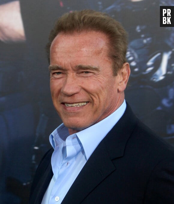 Arnold Schwarzenegger - Avant-première du film "Expendables 3" à Hollywood.