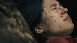 Si vous aimez Black Phone ou Barbare, vous allez adorer ce nouveau film d'horreur de Netflix au concept terriblement sadique