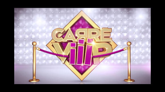 Carré ViiiP ... dans la quotidienne ce soir ... retour sur le clash Alexandre / Mickael Vendetta
