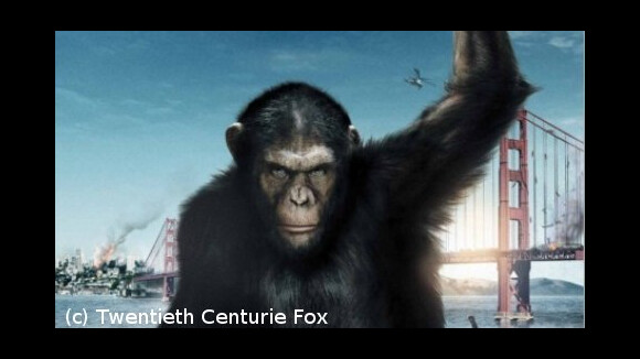 VIDEO - La Planète des Singes : retour aux origines