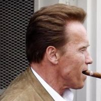 Arnold Schwarzenegger : de retour au cinéma ... trois nouveaux rôles