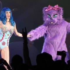 Katy Perry ... son plus beau cadeau d’anniversaire : vos dons pour les animaux
