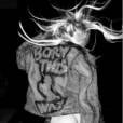 3 - Lady Gaga montre ses fesses pour Born This Way