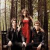 Une saison pas vraiment facile pour Elena, Stefan et Damon