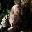 Le Hobbit : un voyage inattendu, au cinéma le 12 décembre 2012