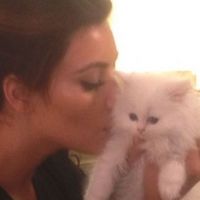 Kim Kardashian : le coeur brisé... à cause de la mort de son chat ! (PHOTOS)