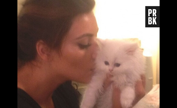 Kim Kardashian a le coeur brisé après la mort de son chat !