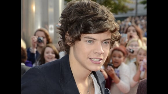 Harry Styles : Taylor Swift a 23 ans, il lui offre... 23 cupcakes !