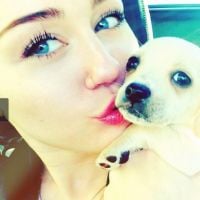 Miley Cyrus : un nouveau chien après la mort de Lila ! (PHOTOS)