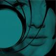Adele chante Skyfall