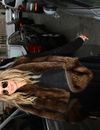 Fergie, une virée shopping à la boutique Rick Owen entre deux défilés parisiens