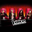 La chanteuse a refusé d'être coach dans l'émission The Voice 2 diffusée sur TF1 !