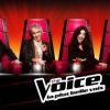 L'émission The Voice 2 s'attire les critiques sur la Toile !