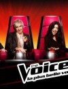 L'émission The Voice 2 s'attire les critiques sur la Toile !