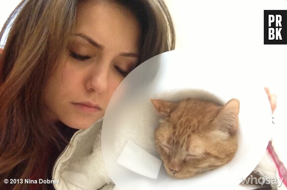 Nina Dobrev fatiguée à cause du chat