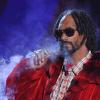 Snoop Lion et Ke$ha se sont passés un joint sur scène le 14 avril aux MTV Movie Awards 2013