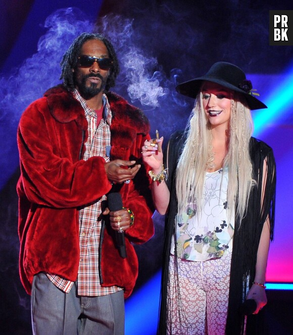 Snoop Lion et Ke$ha, présentateurs enfumés le 14 avril aux MTV Movie Awards 2013