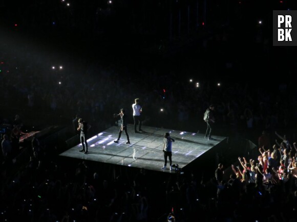 One Direction, un show entre potes