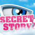 Secret Story 7 est de retour le 7 juin sur TF1.