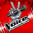 The Voice 2 se conclut ce samedi 18 mai sur TF1