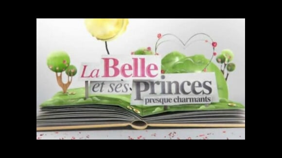 La Belle et ses princes presque charmants : la saison 3 déjà prévue sur W9, avec quel scénario ?