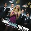 Top 10 des séries qui rapportent le plus en Europe : 8. The Big Bang Theory