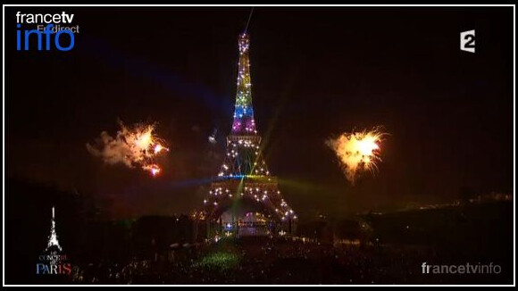 Feu d'artifice du 14 juillet 2013 à Paris : clin d'oeil au mariage pour tous ?