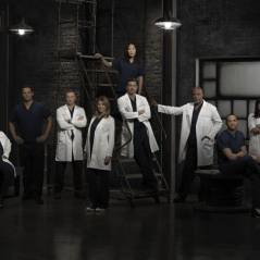 Grey's Anatomy saison 10, Castle saison 6 : les dates de retour des séries de ABC