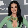 Katy Perry aime les hommes intelligents et poétiques