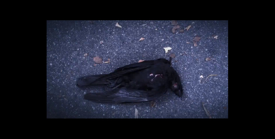 Ravenswood saison 1 : un corbeau mort dans le teaser