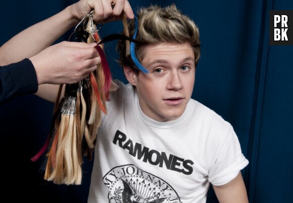 Niall Horan : le One Direction toujours célibataire ?