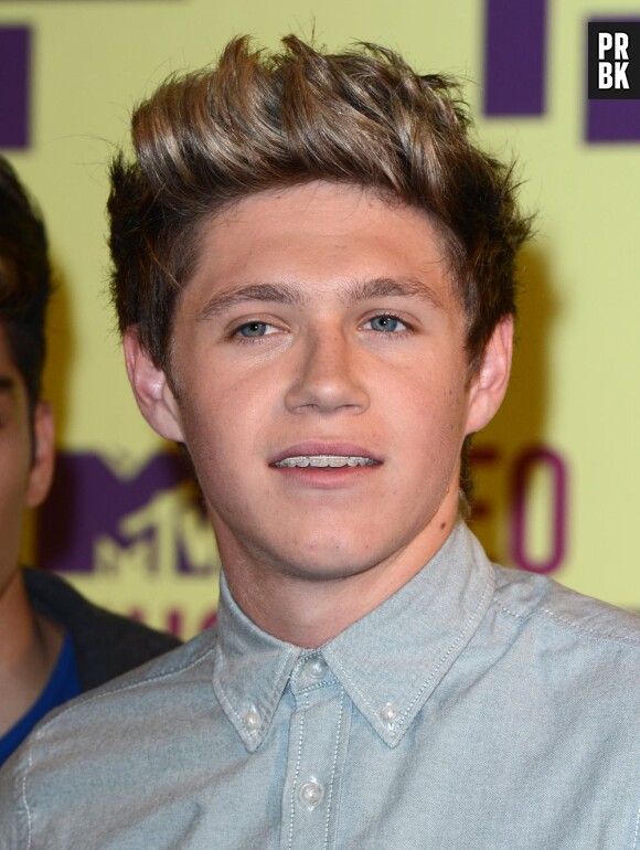 Niall Horan aux MTV Music Awards 2013