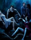 True Blood saison 7 : diffusion prévue pour l'été 2014 aux USA sur HBO