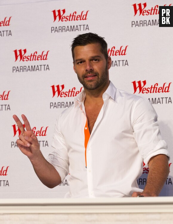 Ricky Martin a connu le succès en 1995 avec son single Maria (Un, dos, tres)