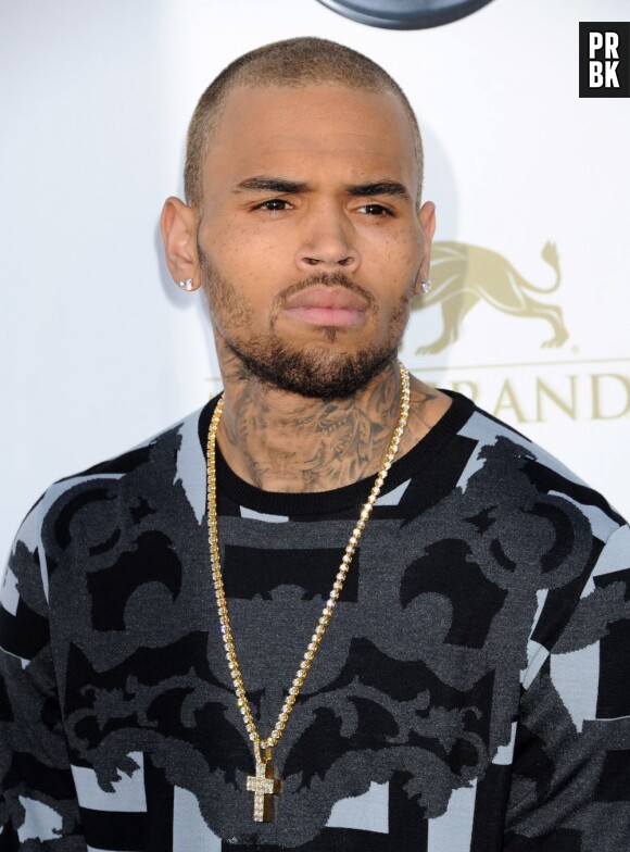Chris Brown appelle ses fans à signer une pétition en faveur de la cause gay