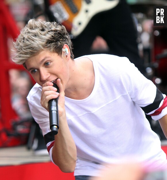 Niall Horan, chanteur des One Direction et risée du web