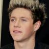 Niall Horan, chanteur des One Direction et risée du web