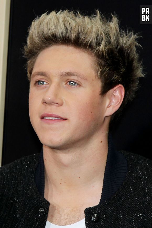 Niall Horan, chanteur des One Direction et risée du web