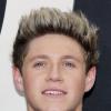 Niall Horan, chanteur des One Direction et risée du web